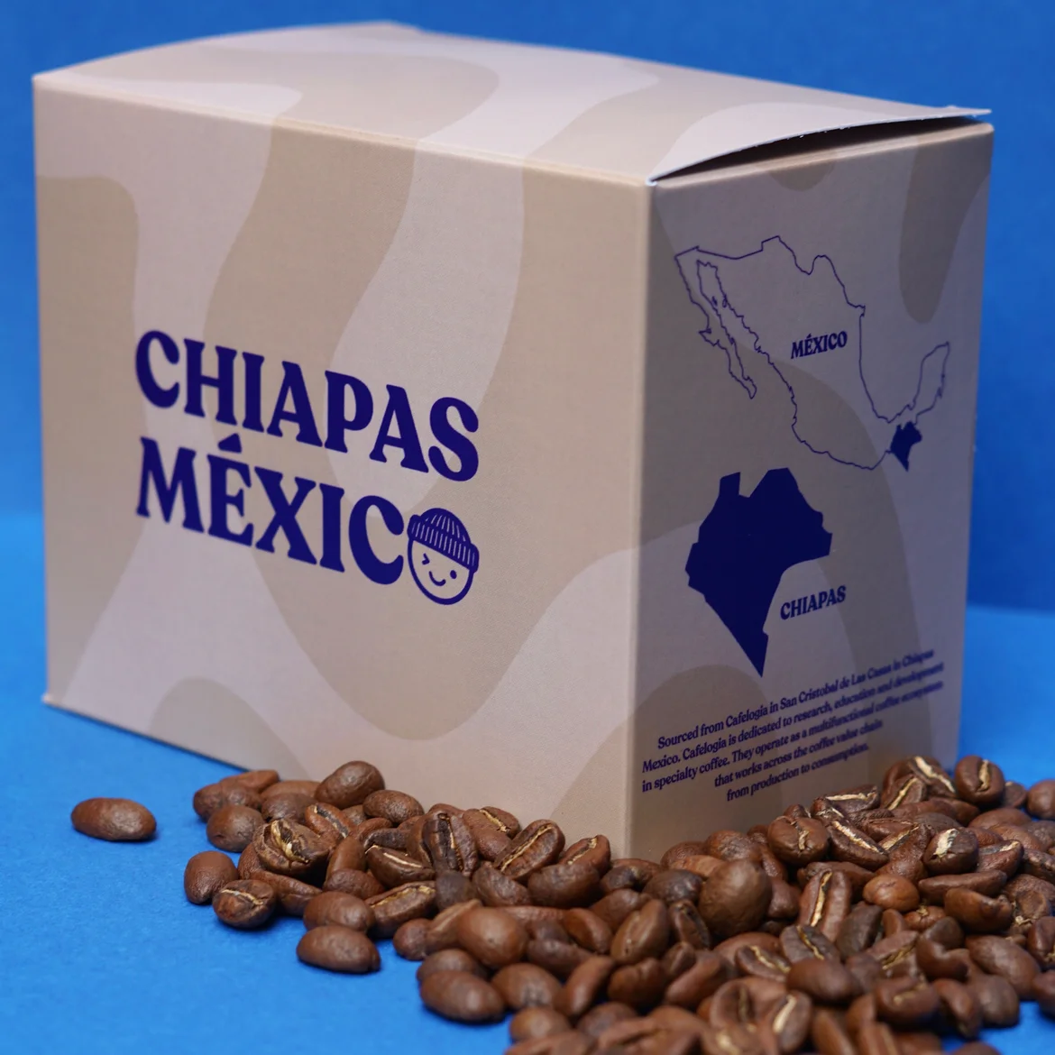 Chiapas, México Juan Guzmán, second view