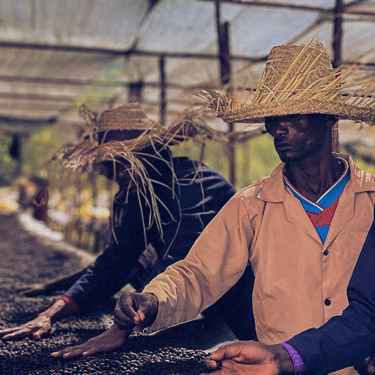Ethiopia Sidamo 250g, second view