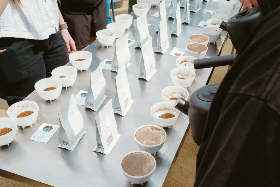 Rows of cupping bowls and labelled bags laid out on a table