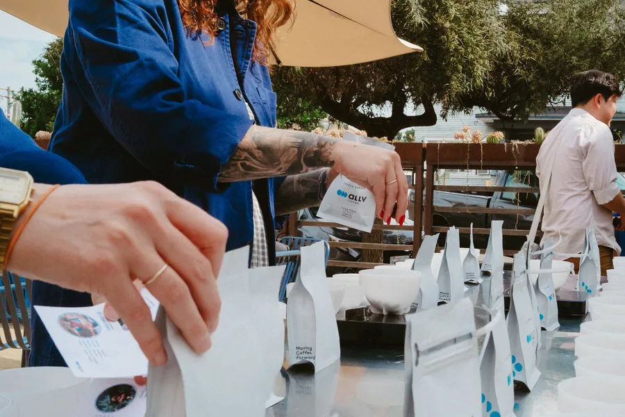 Hot water being poured over ground coffee at a cupping table
