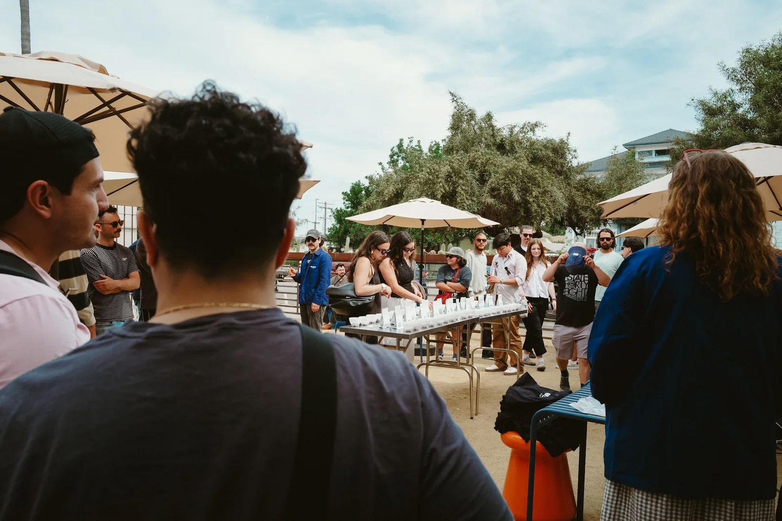 A long outdoor cupping table lined with white cups, people tasting along it